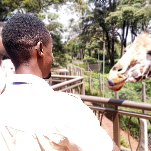 Brighton Maisha Trails Guide